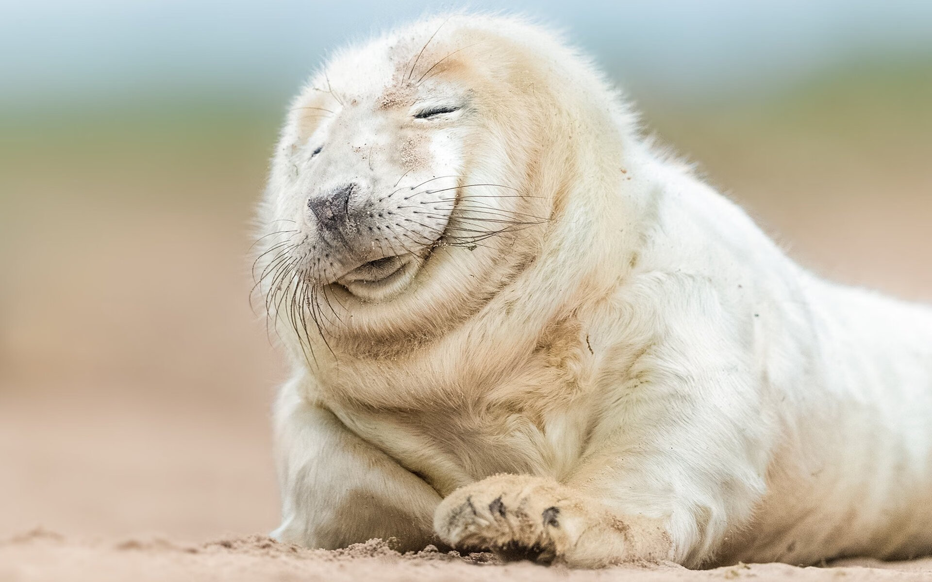 沉默的旗帜，英格拉姆的核心困局与雷霆横扫的必然性