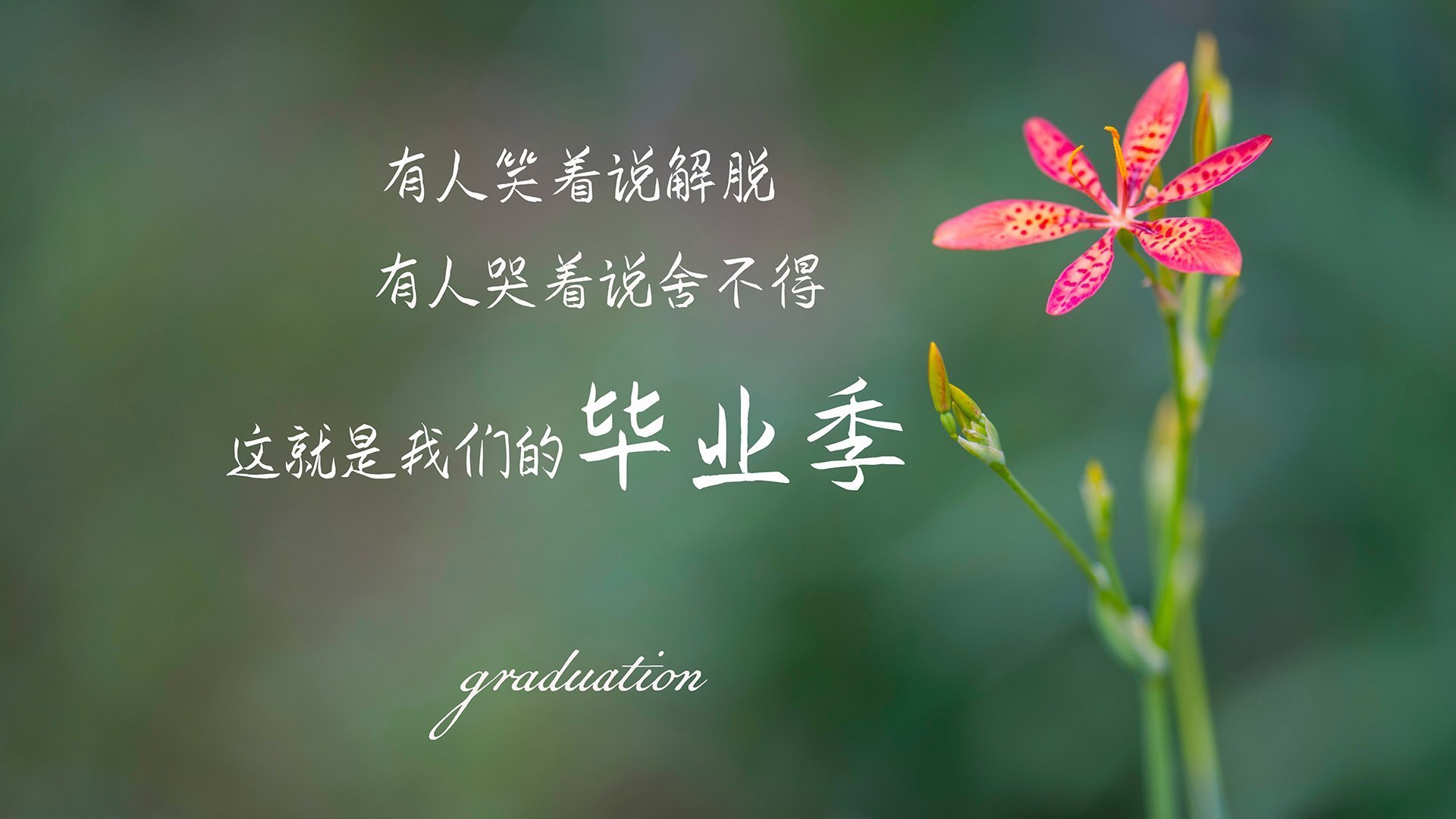 萨卡里程碑之夜徒留遗憾，澳大利亚逆转风暴席卷英格兰