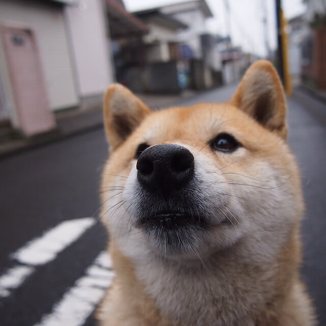 关键先生与北欧神话，体育世界里永不枯竭的惊奇