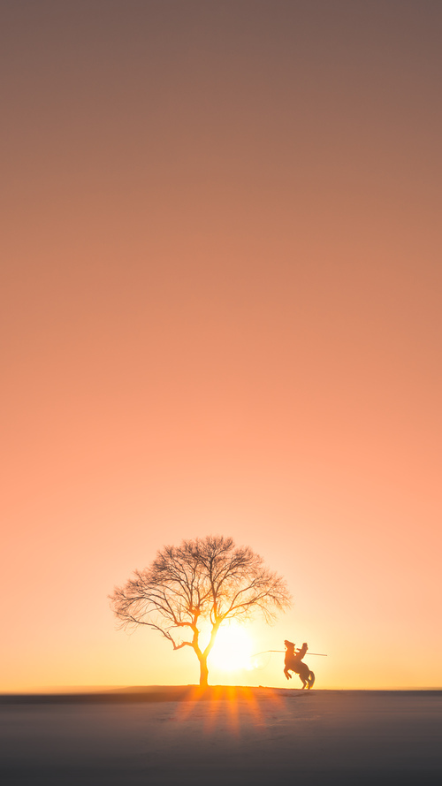 星夜之舵，拉梅洛独舞亚平宁，焦点战写下统治力注解