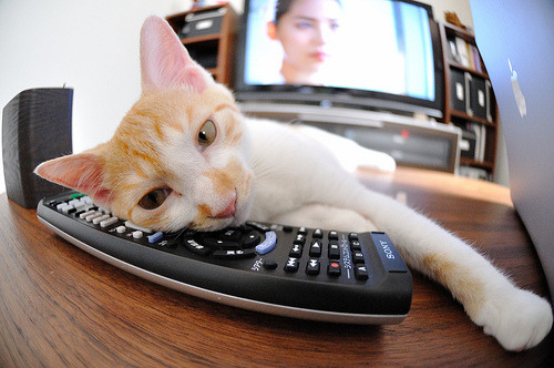 湖人狂潮席卷凯尔特人,利拉德东决封神时刻