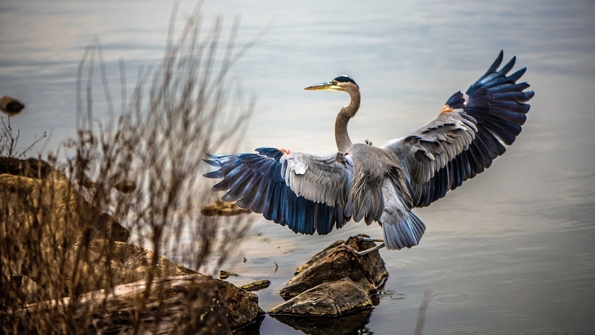 东海岸铁蹄踏破紫禁城,班凯罗全能统治助绿军客场稳胜北京