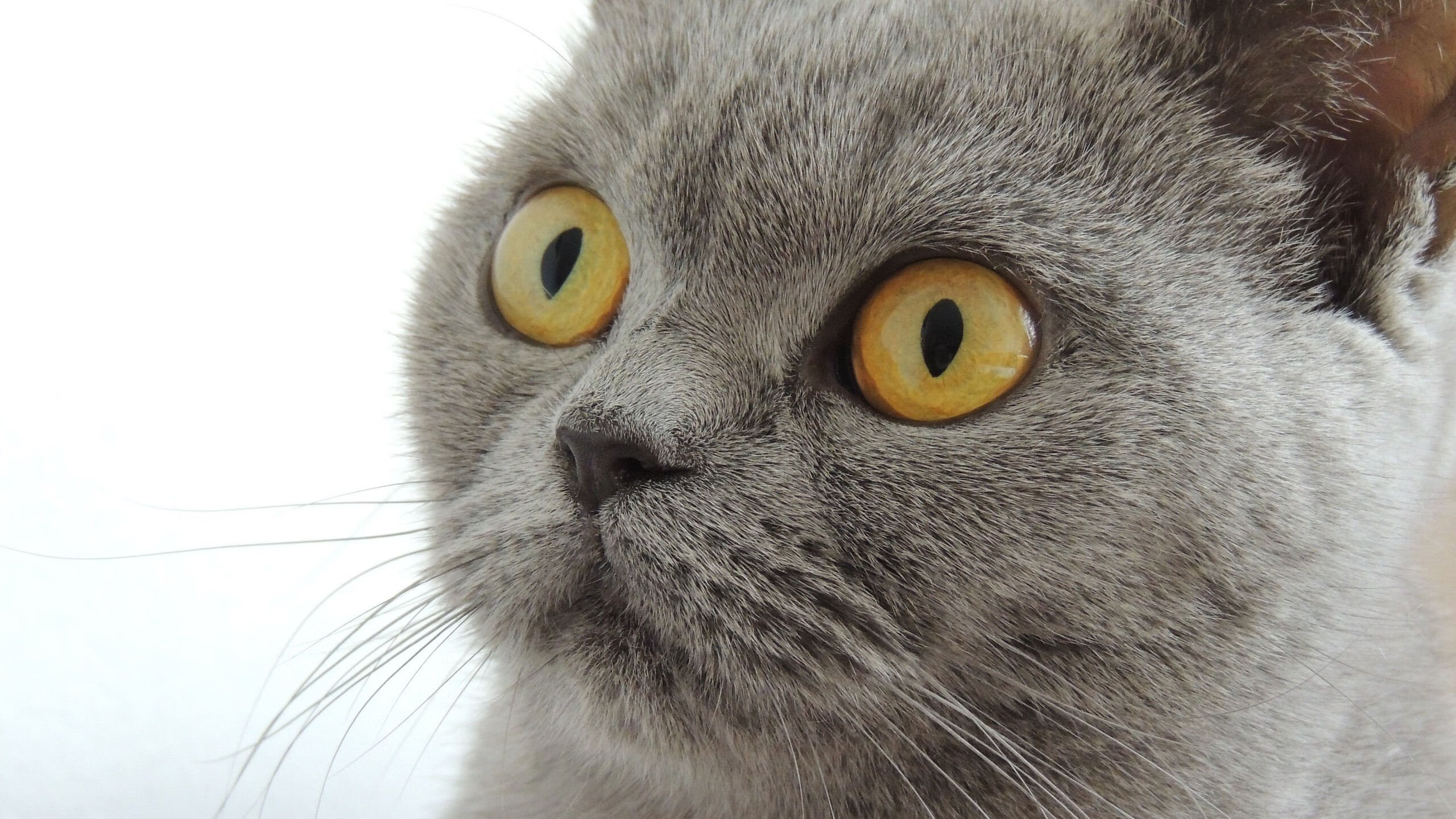 破壁之战,当山西队遇见马刺,伦纳德在东方点燃星火