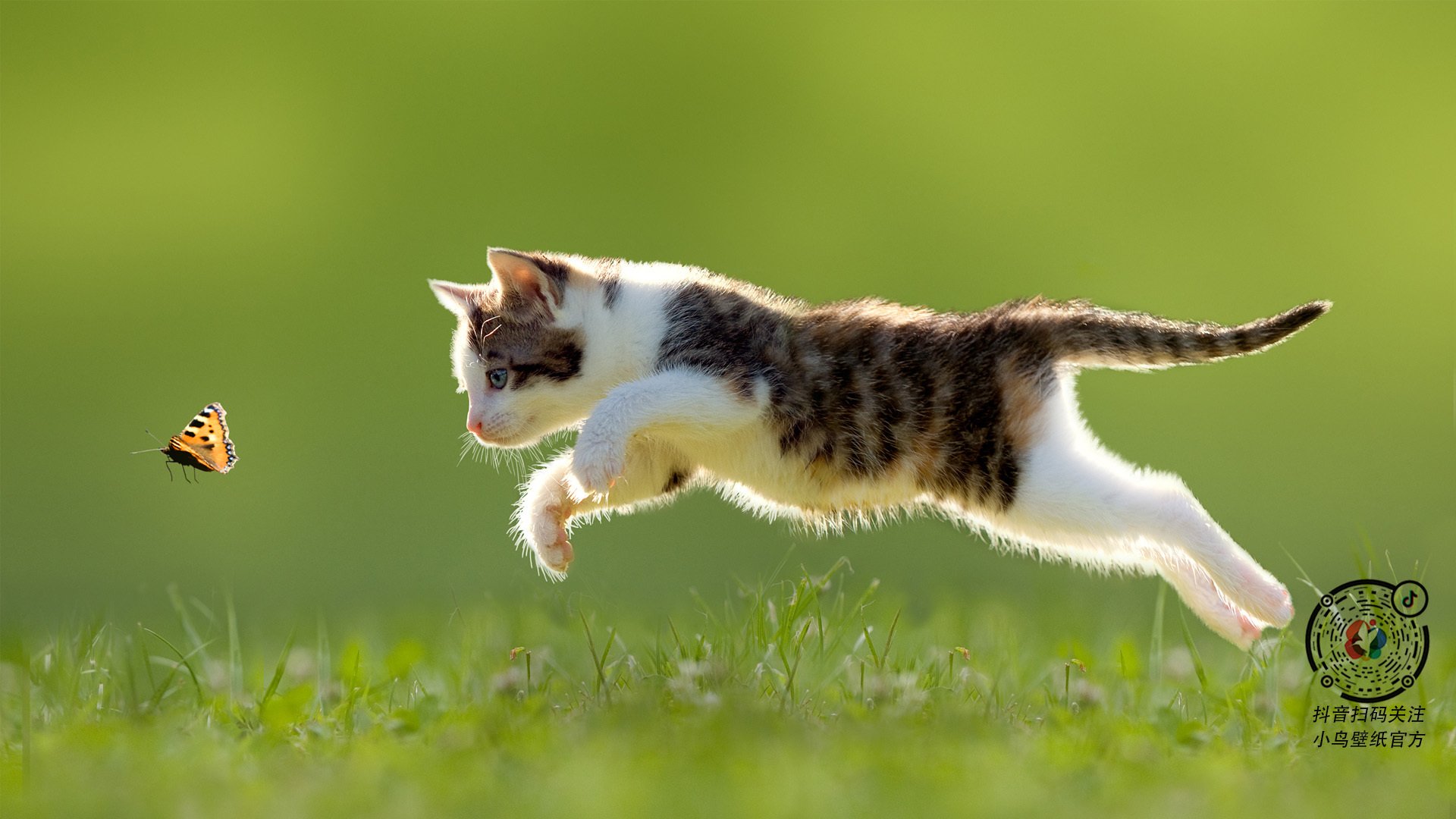 棋盘与箭矢，当切特在巴林赛道接管比赛时，布鲁克林正编织爆冷的网