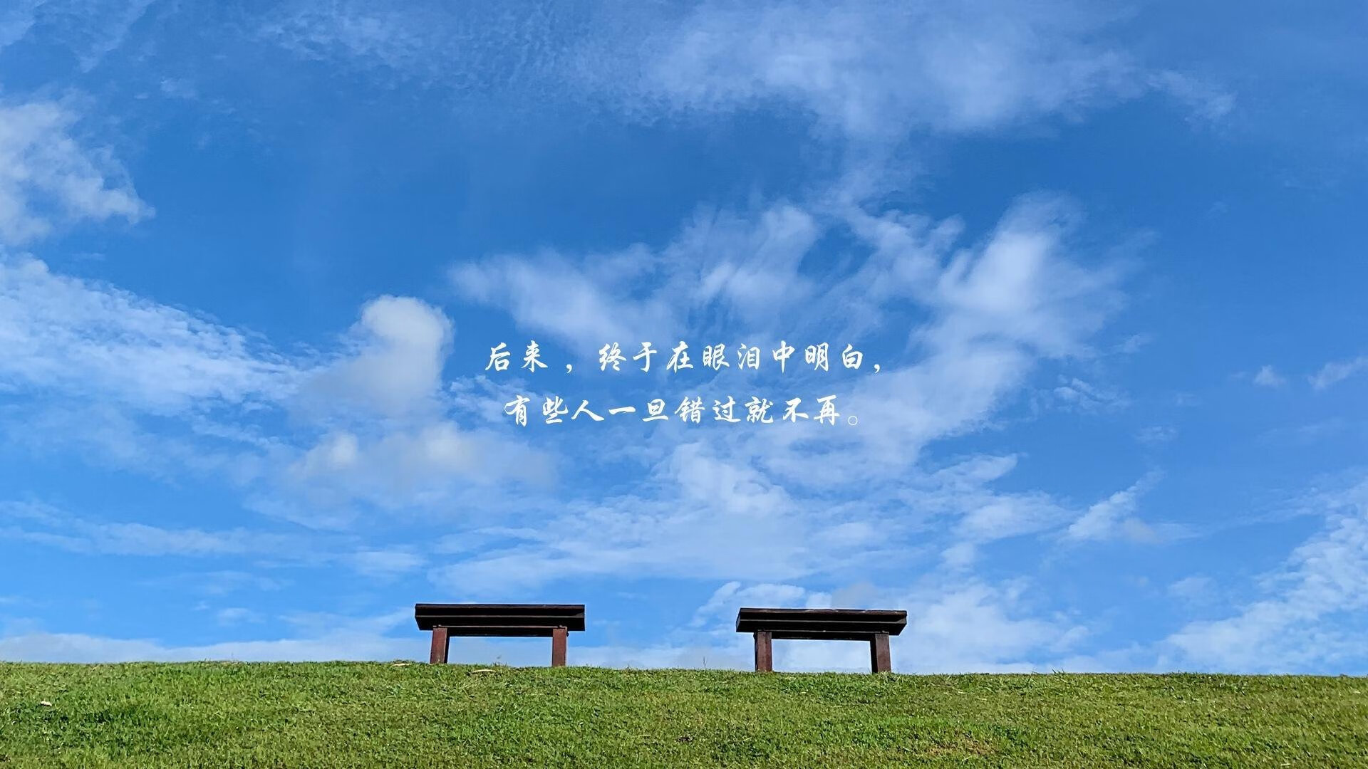 魔笛绝唱,2026世界杯E组,保加利亚铁血防线与中场艺术铸就的致命一击